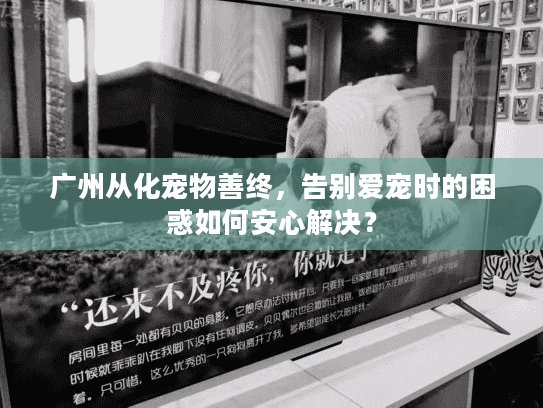 广州从化宠物善终，告别爱宠时的困惑如何安心解决？