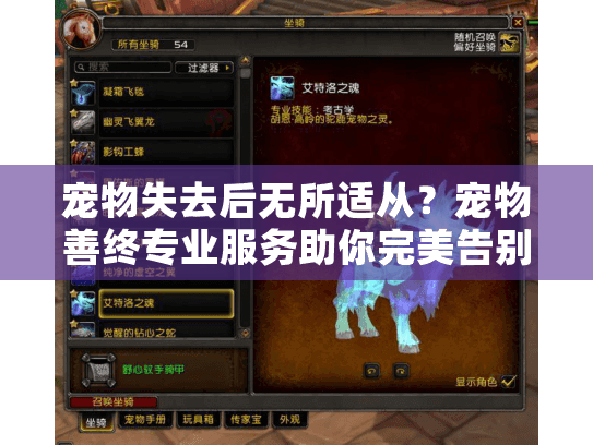 宠物失去后无所适从？宠物善终专业服务助你完美告别