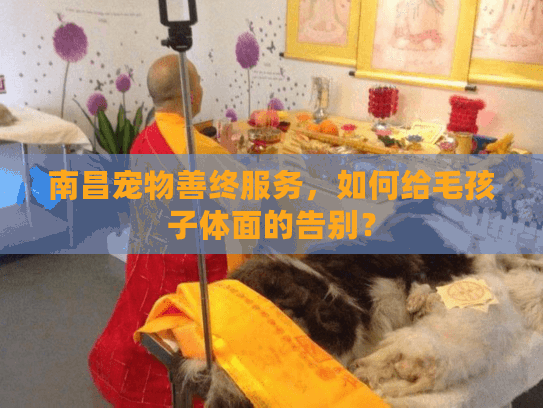 南昌宠物善终服务，如何给毛孩子体面的告别？