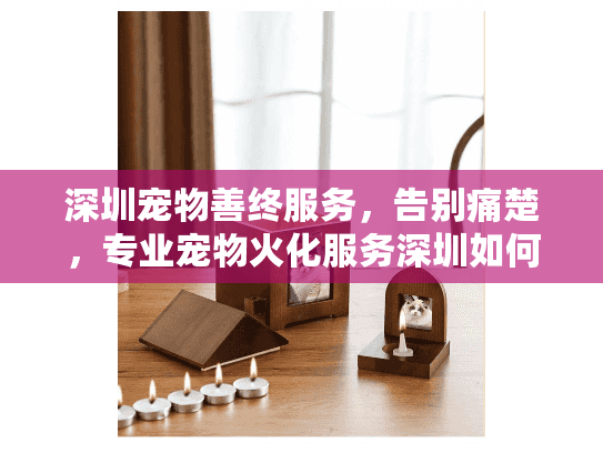 深圳宠物善终服务，告别痛楚，专业宠物火化服务深圳如何帮你？