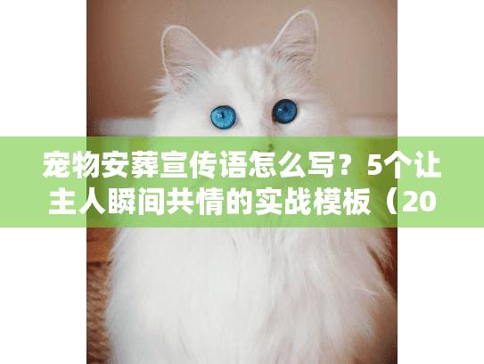 宠物安葬宣传语怎么写？5个让主人瞬间共情的实战模板（2025年最新）