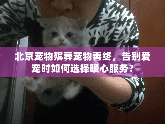 北京宠物殡葬宠物善终，告别爱宠时如何选择暖心服务？