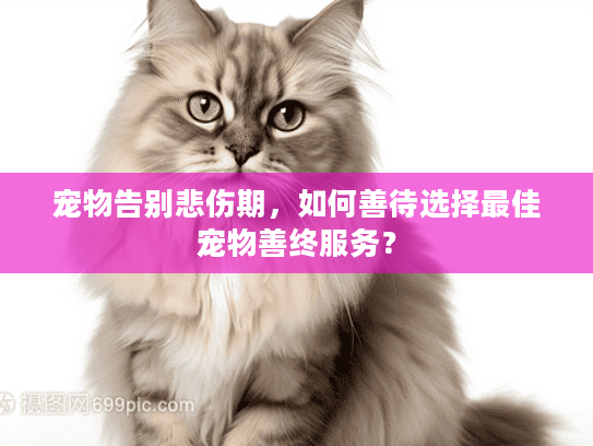 宠物告别悲伤期，如何善待选择最佳宠物善终服务？