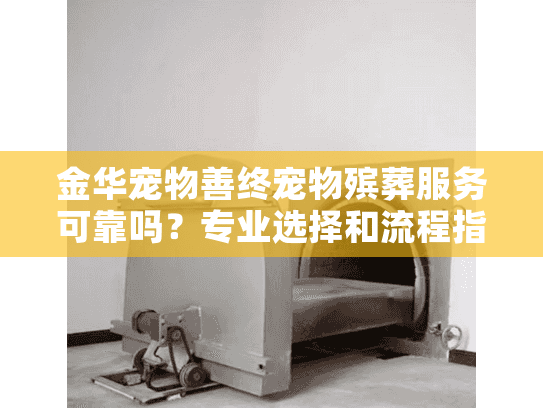 金华宠物善终宠物殡葬服务可靠吗？专业选择和流程指南