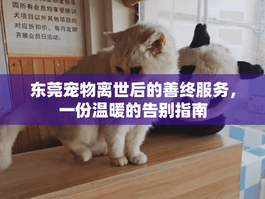 东莞宠物离世后的善终服务，一份温暖的告别指南
