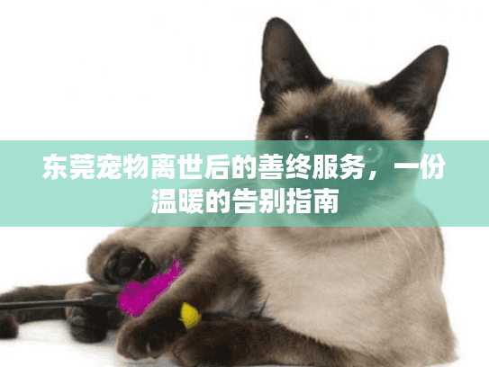 东莞宠物离世后的善终服务，一份温暖的告别指南