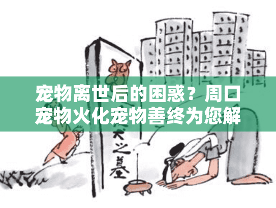 宠物离世后的困惑？周口宠物火化宠物善终为您解决难题