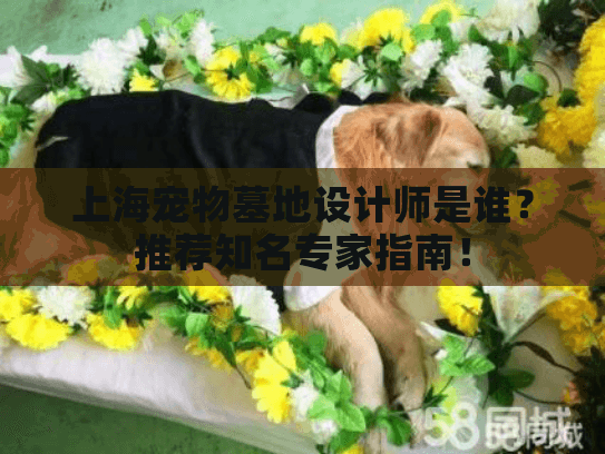 上海宠物墓地设计师是谁？推荐知名专家指南！