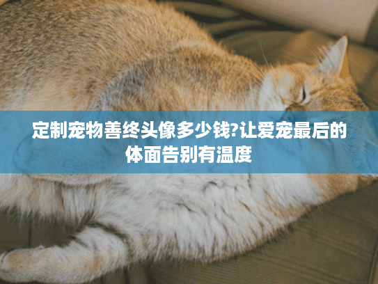 定制宠物善终头像多少钱?让爱宠最后的体面告别有温度