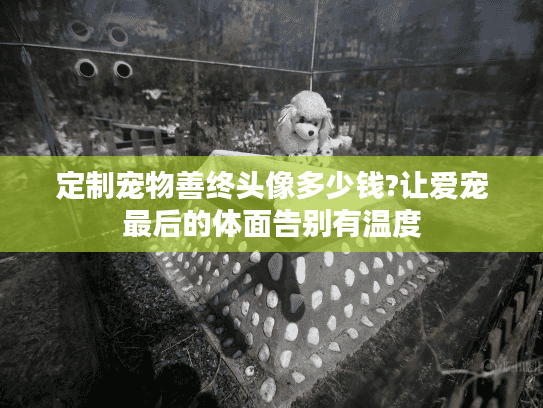 定制宠物善终头像多少钱?让爱宠最后的体面告别有温度