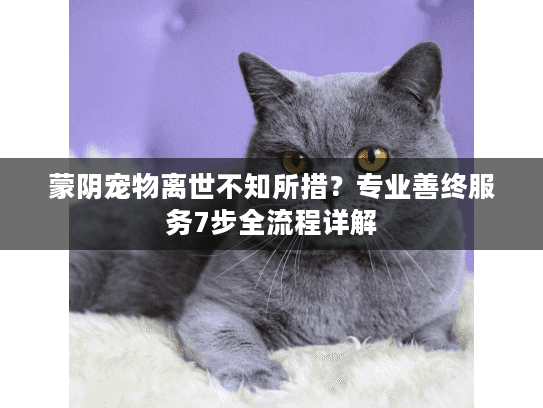 蒙阴宠物离世不知所措？专业善终服务7步全流程详解