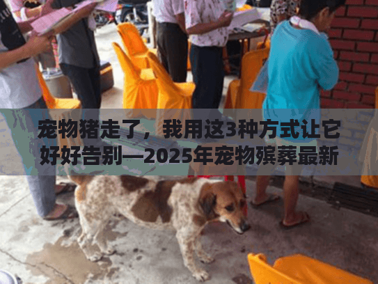 宠物猪走了，我用这3种方式让它好好告别—2025年宠物殡葬最新实操