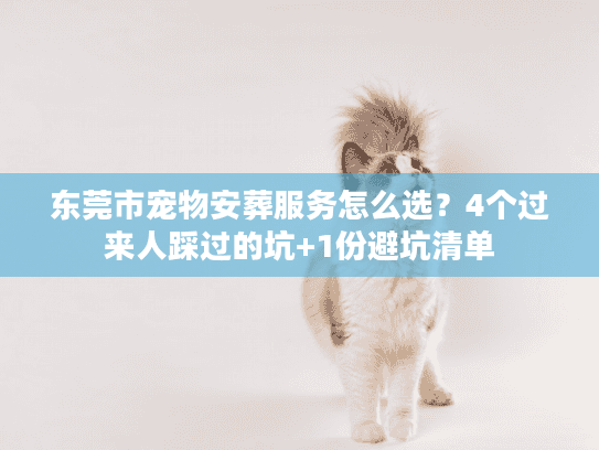 东莞市宠物安葬服务怎么选？4个过来人踩过的坑+1份避坑清单