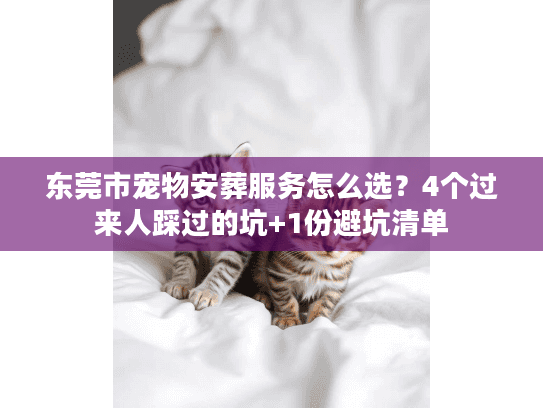东莞市宠物安葬服务怎么选？4个过来人踩过的坑+1份避坑清单