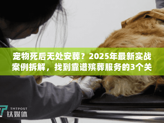 宠物死后无处安葬?2025年最新实战案例拆解,找到靠谱殡葬服务的3个关键 宠物死后无处安葬?2025年最新实战案例拆解,找到靠谱殡葬服务的3个关键