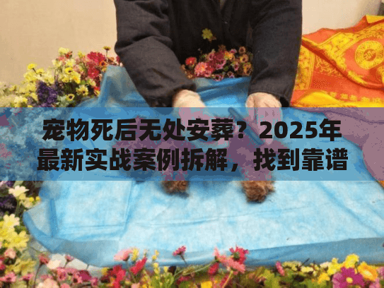 宠物死后无处安葬?2025年最新实战案例拆解,找到靠谱殡葬服务的3个关键 宠物死后无处安葬?2025年最新实战案例拆解,找到靠谱殡葬服务的3个关键