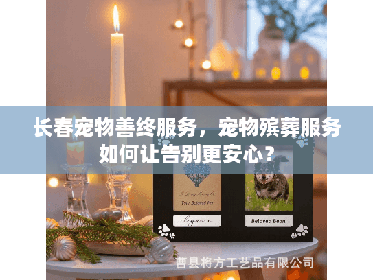 长春宠物善终服务，宠物殡葬服务如何让告别更安心？