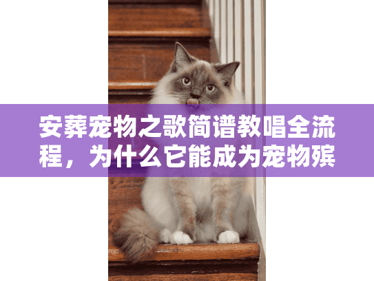 安葬宠物之歌简谱教唱全流程，为什么它能成为宠物殡葬里最戳心的告别仪式？