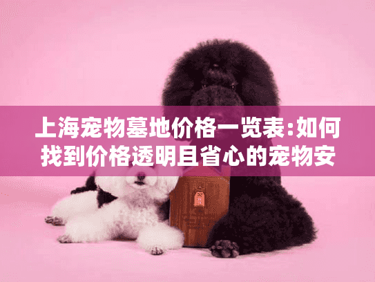 上海宠物墓地价格一览表:如何找到价格透明且省心的宠物安息地?
