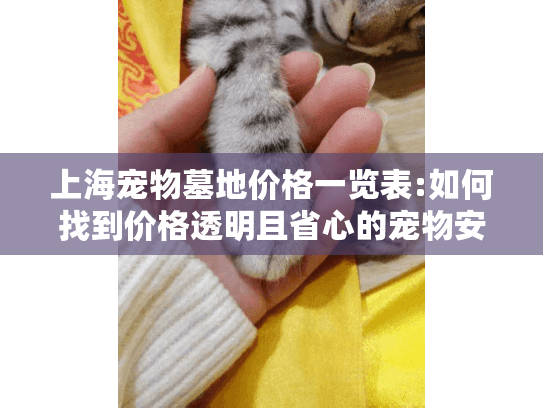 上海宠物墓地价格一览表:如何找到价格透明且省心的宠物安息地?
