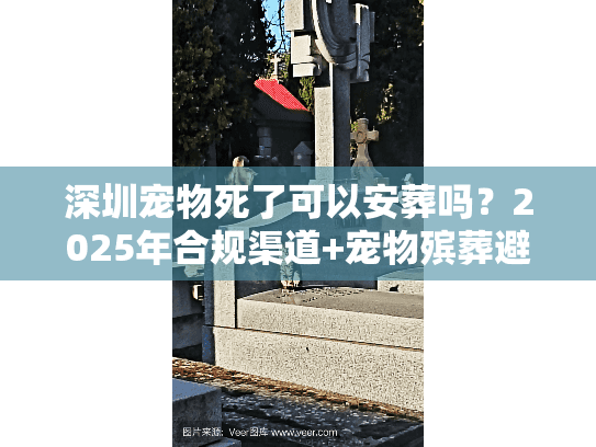 深圳宠物死了可以安葬吗？2025年合规渠道+宠物殡葬避坑全攻略