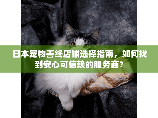 日本宠物善终店铺选择指南，如何找到安心可信赖的服务商？