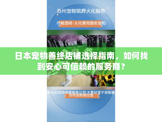日本宠物善终店铺选择指南，如何找到安心可信赖的服务商？