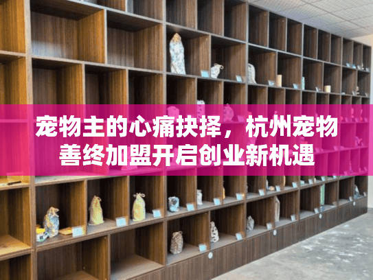 宠物主的心痛抉择，杭州宠物善终加盟开启创业新机遇
