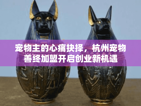 宠物主的心痛抉择，杭州宠物善终加盟开启创业新机遇