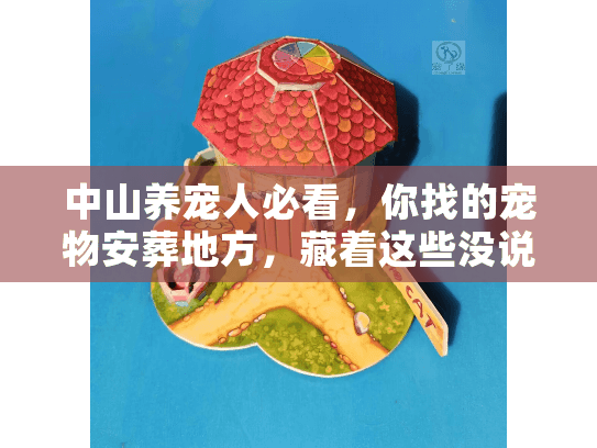 中山养宠人必看，你找的宠物安葬地方，藏着这些没说透的真相？