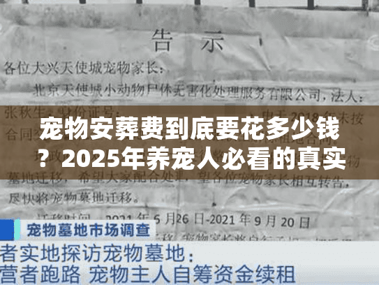 2025年养宠人必看的真实成本拆解图片