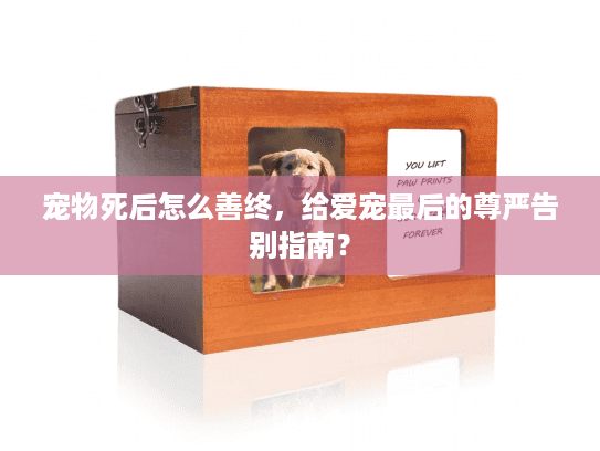 宠物死后怎么善终，给爱宠最后的尊严告别指南？