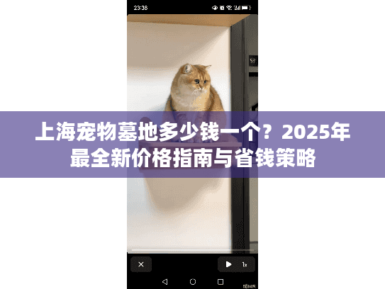 上海宠物墓地多少钱一个？2025年最全新价格指南与省钱策略