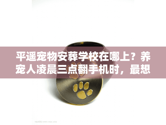 平遥宠物安葬学校在哪上？养宠人凌晨三点翻手机时，最想知道的真相