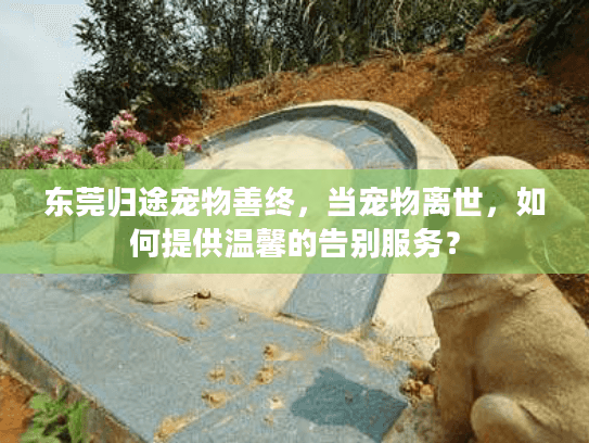 东莞归途宠物善终，当宠物离世，如何提供温馨的告别服务？