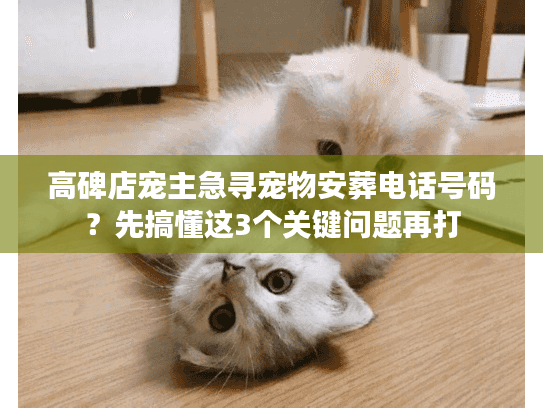 高碑店宠主急寻宠物安葬电话号码？先搞懂这3个关键问题再打