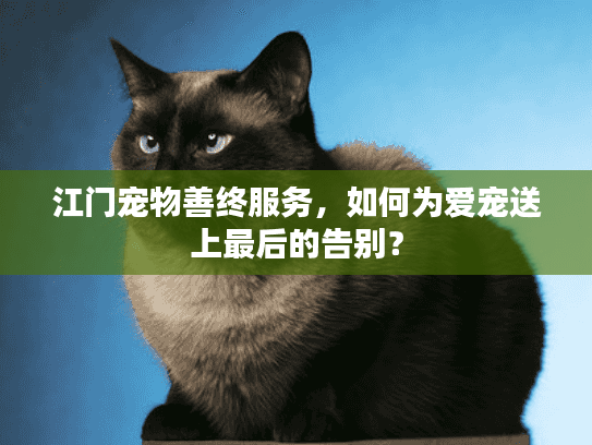 江门宠物善终服务，如何为爱宠送上最后的告别？