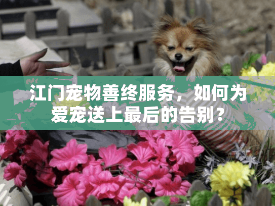 江门宠物善终服务，如何为爱宠送上最后的告别？