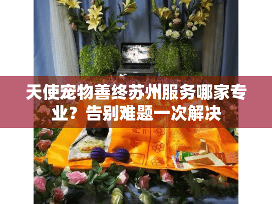 天使宠物善终苏州服务哪家专业？告别难题一次解决