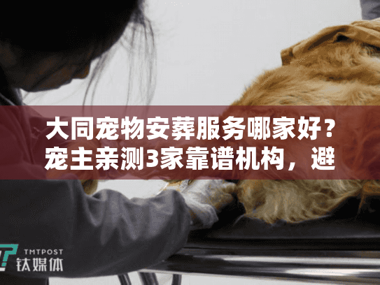 大同宠物安葬服务哪家好？宠主亲测3家靠谱机构，避坑指南全在这