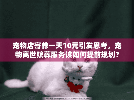 宠物店寄养一天10元引发思考，宠物离世殡葬服务该如何提前规划？