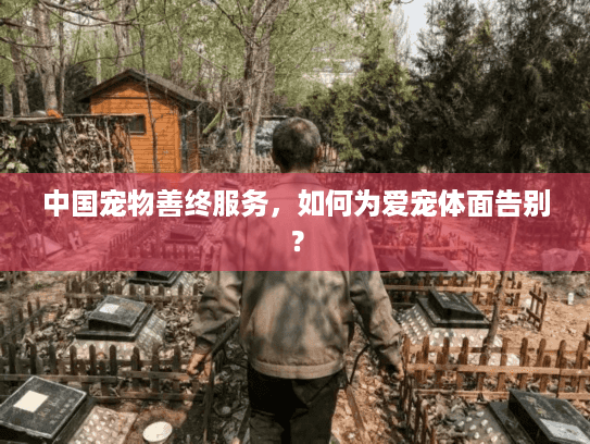 中国宠物善终服务，如何为爱宠体面告别？