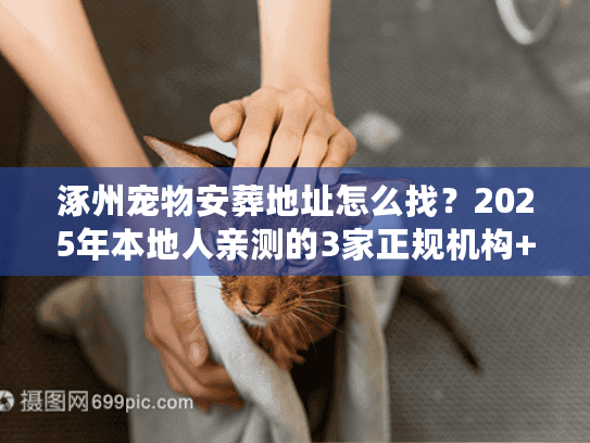 涿州宠物安葬地址怎么找？2025年本地人亲测的3家正规机构+避坑指南