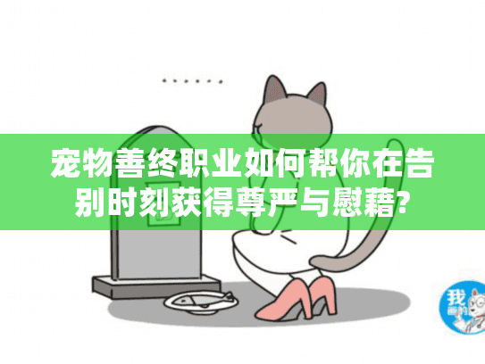 宠物善终职业如何帮你在告别时刻获得尊严与慰藉?