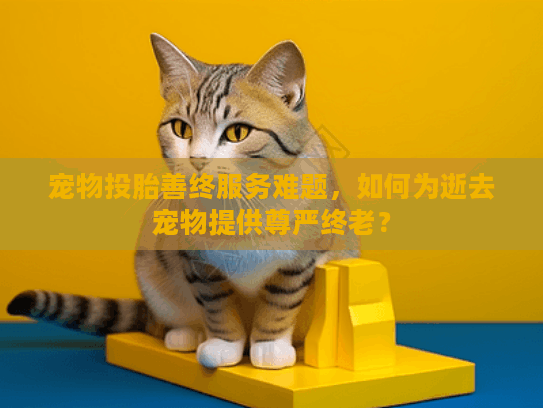 宠物投胎善终服务难题，如何为逝去宠物提供尊严终老？