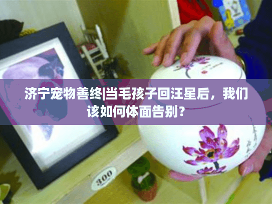 济宁宠物善终|当毛孩子回汪星后，我们该如何体面告别？