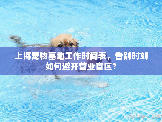 上海宠物墓地工作时间表，告别时刻如何避开营业盲区？