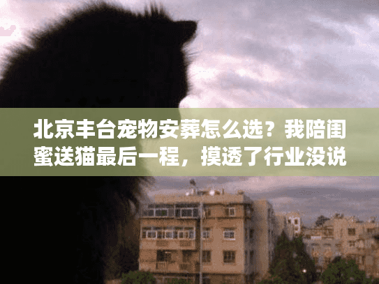 北京丰台宠物安葬怎么选?我陪闺蜜送猫最后一程,摸透了行业没说破的4个门道 北京丰台宠物安葬怎么选?我陪闺蜜送猫最后一程,摸透了行业没说破的4个门道