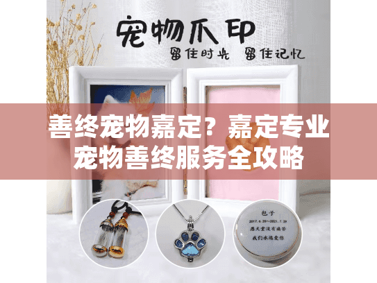 善终宠物嘉定？嘉定专业宠物善终服务全攻略