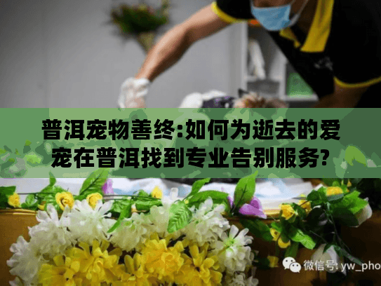 普洱宠物善终:如何为逝去的爱宠在普洱找到专业告别服务?